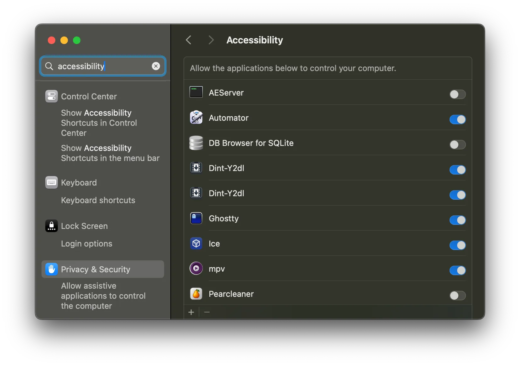allow accessibility privacy